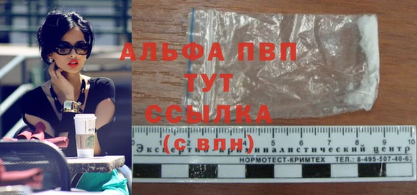 сатива Алексин