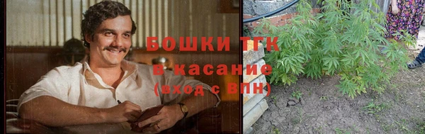сатива Алексин