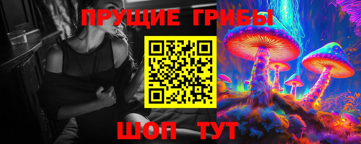 Заинск  Псилоцибиновые грибы Psilocybe  Вход с VPN 